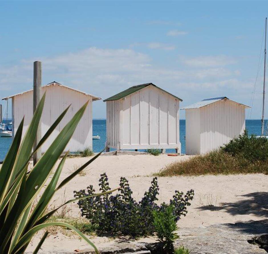 Visit Noirmoutier island close to campsite La Pomme de Pin at St Hilaire de Riez - Camping pomme de pin