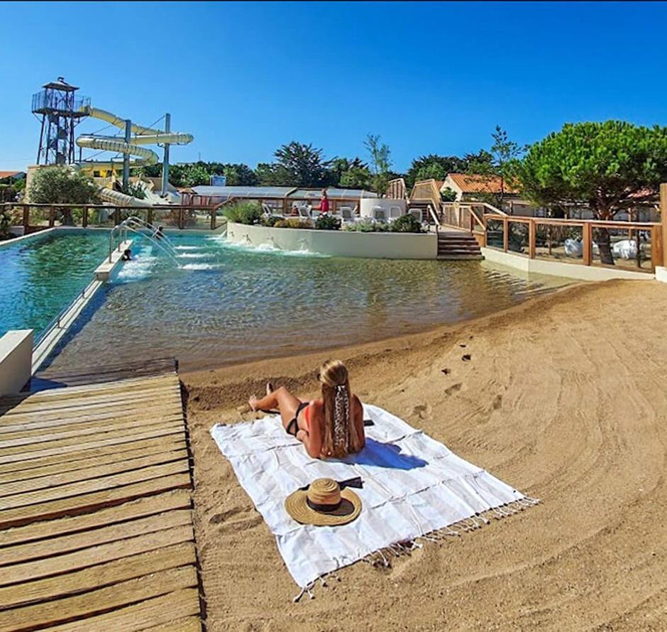 Camping pomme de pin