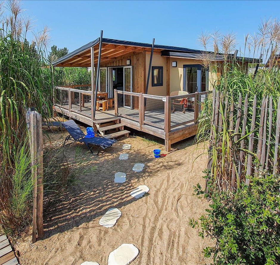 Camping pomme de pin