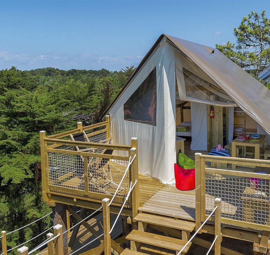 Camping pomme de pin