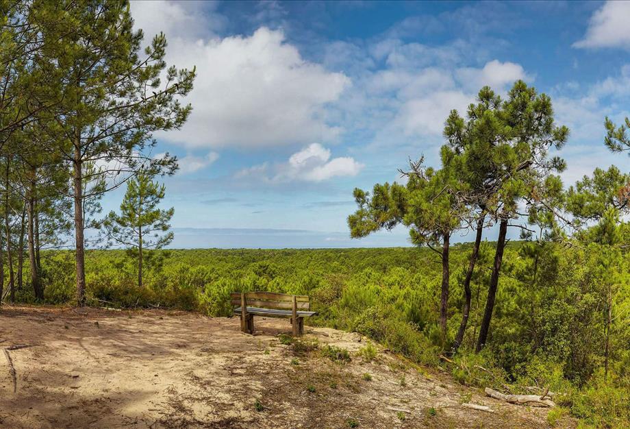 um st hilaire de riez zu entdecken - Camping pomme de pin