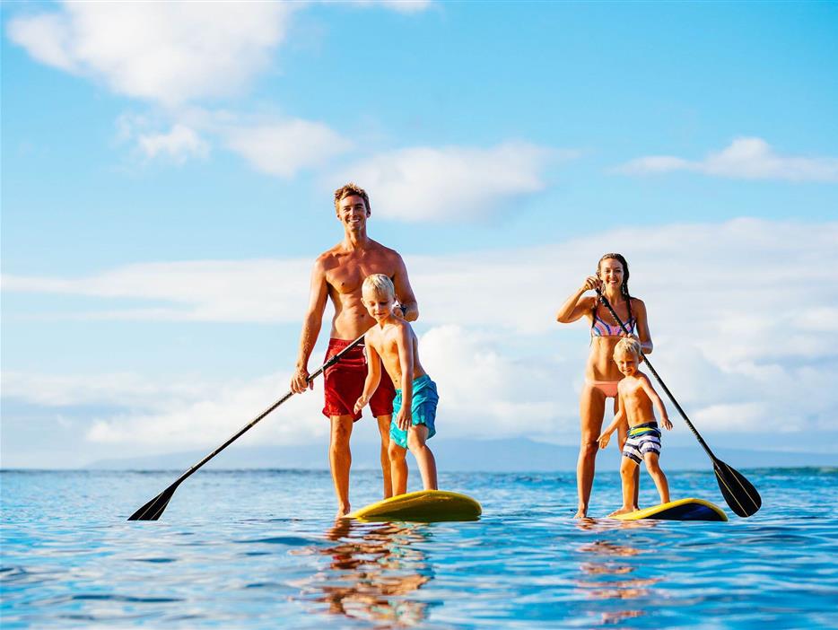 Camping pomme de pin