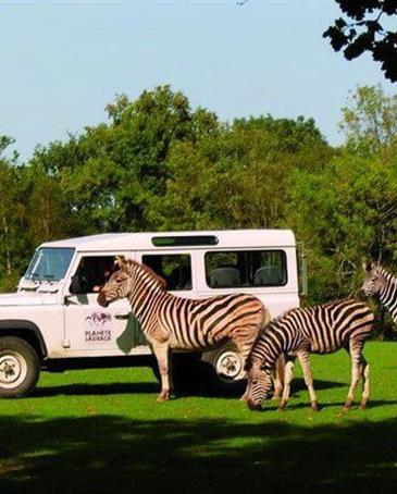 Wildplanet Wildtiersafari - Camping pomme de pin