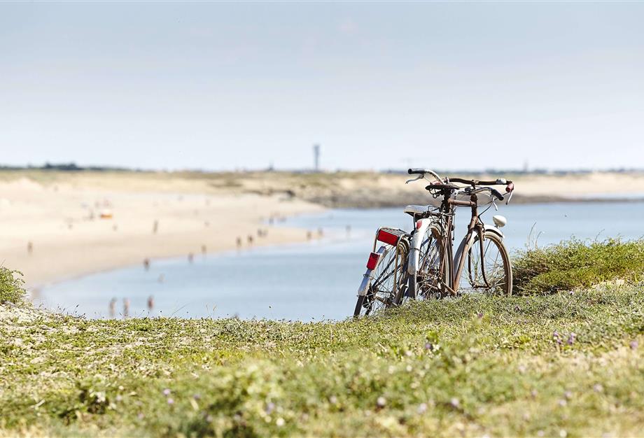 Entdecken Sie die Vendée mit dem Fahrrad - Camping pomme de pin