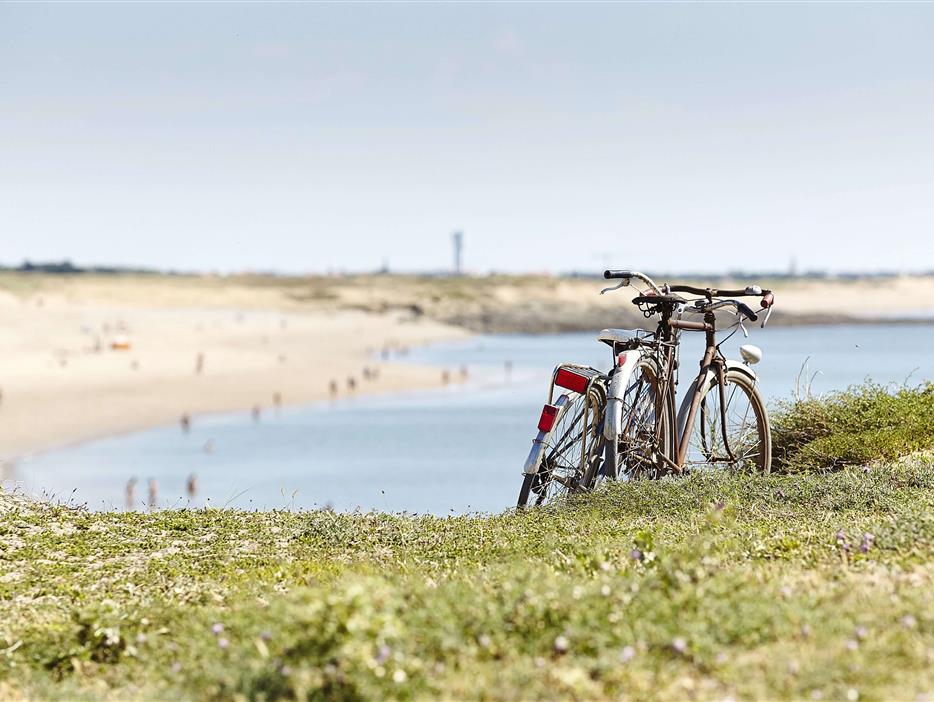 Entdecken Sie die Vendée mit dem Fahrrad - Camping pomme de pin
