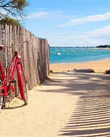 Erkunden Sie die Vendée mit dem Fahrrad - Camping pomme de pin