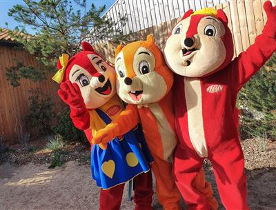 die Maskottchen