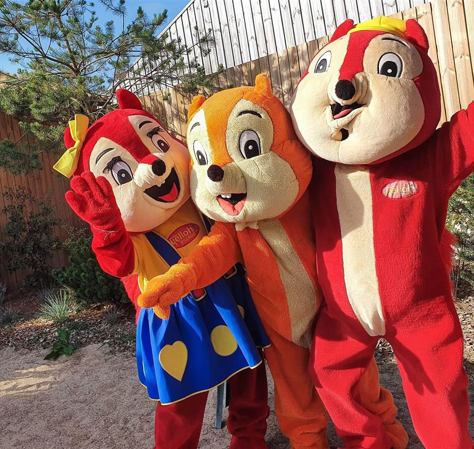 die Maskottchen - Camping pomme de pin