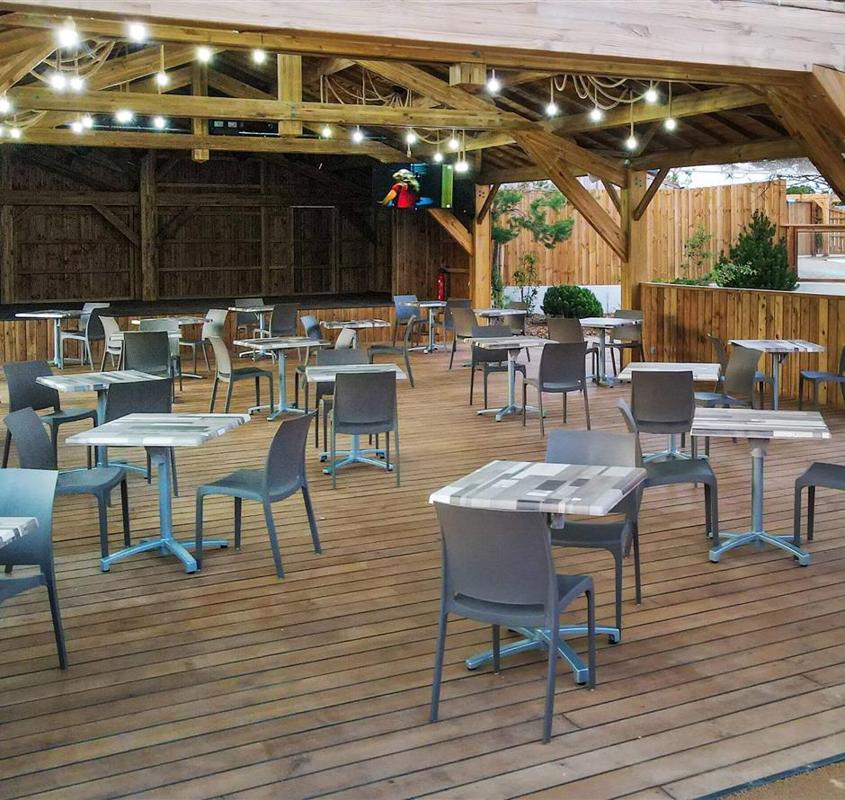 Camping pomme de pin