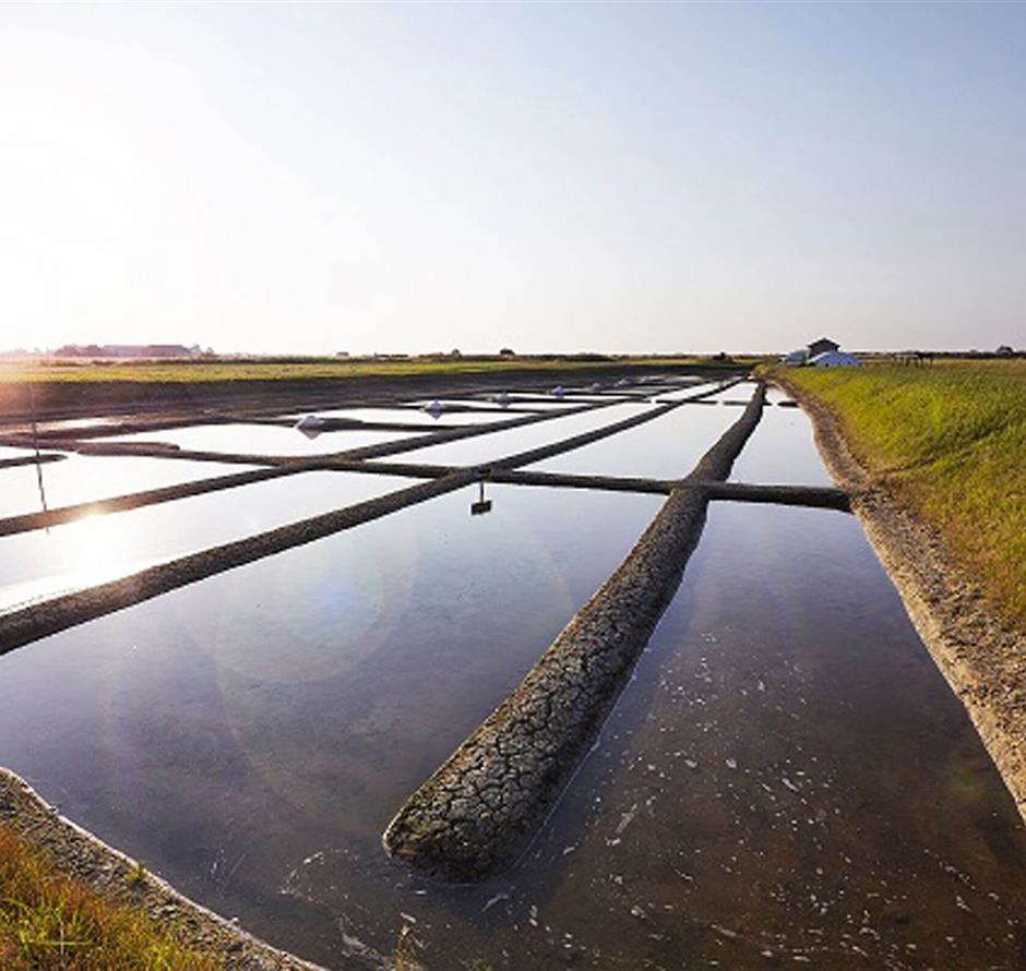 Salt marshes close to La Pomme de Pin - Camping pomme de pin