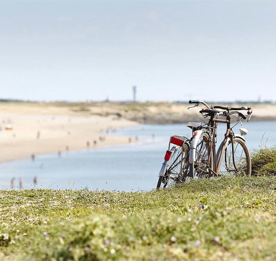 campsite close to the beach and cycle path - Camping pomme de pin