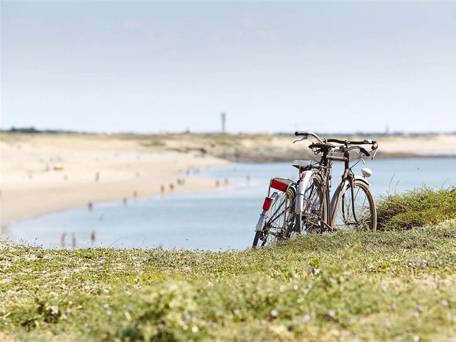 campsite close to the beach and cycle path - Camping pomme de pin