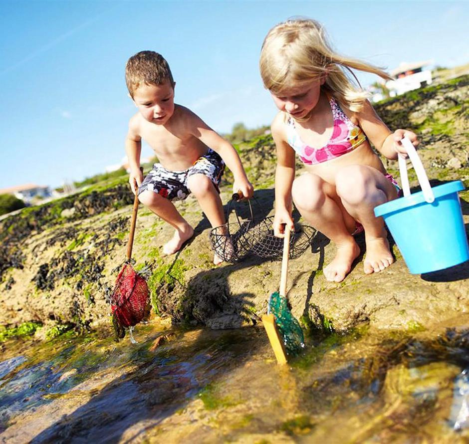Camping pomme de pin