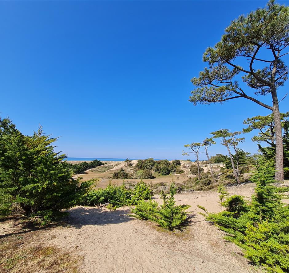 Campingplatz mit direktem Zugang zum Strand von St. Hilaire - Camping pomme de pin