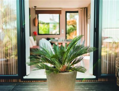 Cottage Terrasse und Spa 6 Personen 3 Schlafzimmer 1 Badezimmer