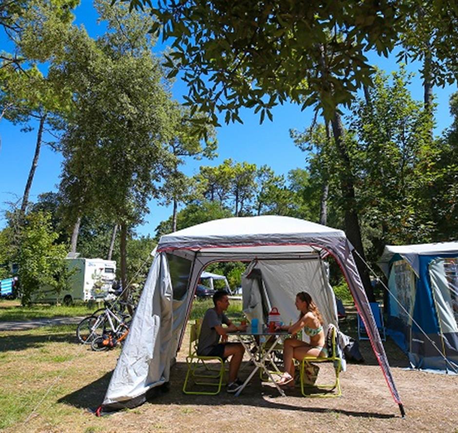 Camping pomme de pin