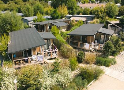 Camping pomme de pin