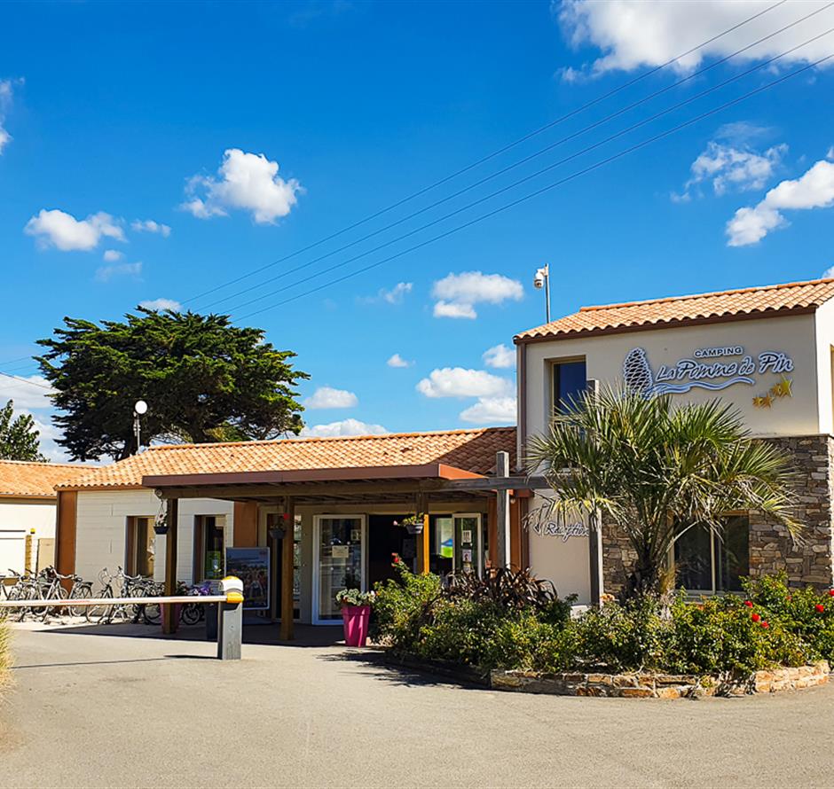 Camping pomme de pin