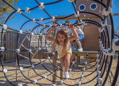 Camping pomme de pin