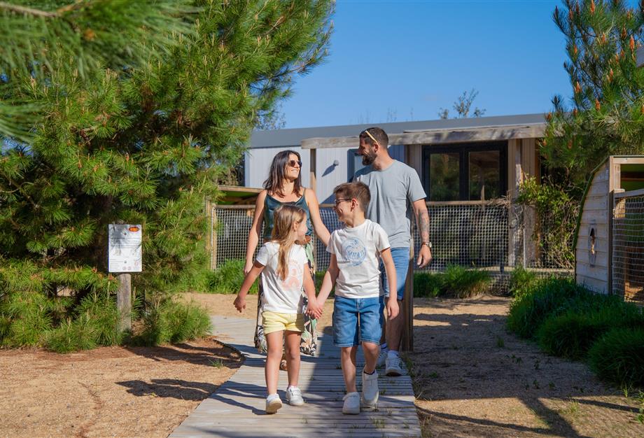 Camping pomme de pin