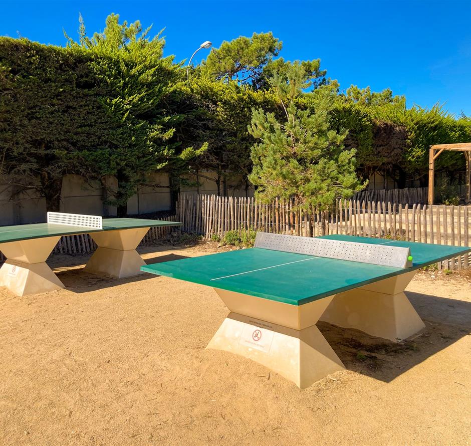 Camping pomme de pin